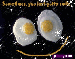 gotta_smile[1].gif